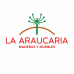 Araucaria